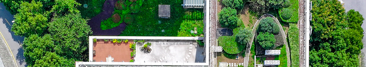 Building with a rooftop garden